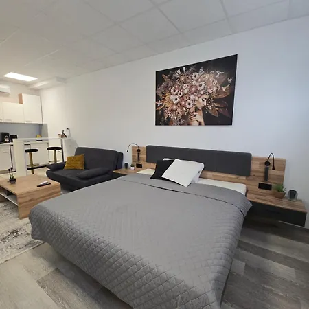 Apartment 9 Fuer 2 Ramstein-Miesenbach